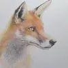 artbyjojo68