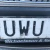 interactorgusva
