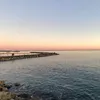 manon_grvrt