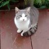 kittygirl29