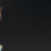 user_7204123