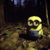 yjwlvrluvs