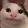 1need2pee847