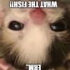 cuhromi