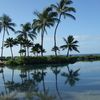 coconutwaterlife232