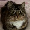 sugarbug78