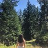 taylor_stl