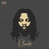 Olamide Adedeji