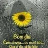 mariadasgraasgraa