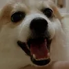 luckylunalilyy