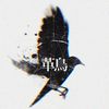 leatherbird