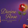 x.divine_rose.x