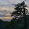 mydoctor23
