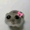 lilyanaq