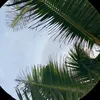 olivial_45