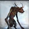 mushroom_culte24