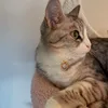 bubbamoomoo