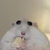 joyfunfe07