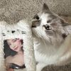 kxkitty4