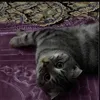 susu61_