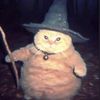 wizardofsnozz