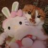 mmiook