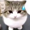 amirananaa
