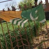 jaraparveen