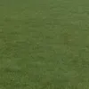 nmjdance