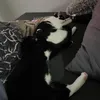 durkepurke