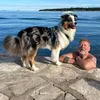 erichspringer