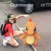 pokemonmasterblossom