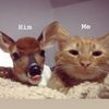 sourkitty2