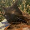 adventuringgirl