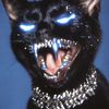 gatoopersa
