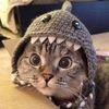 baaarrrrrrrrrrrrr