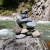 naturevibesworldwide