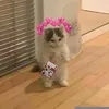 mydadsucks5