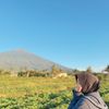 nindyspt_