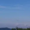 .fghhfccv