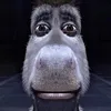 shennybobenny