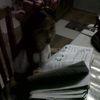 kenzn_