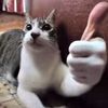 mo_diaz