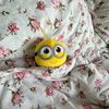 citlallilovesminions