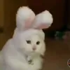 yikes___bruh