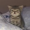 imtiredandcold