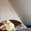 merrycarly1