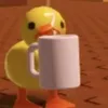 boye21