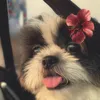 sittie050224