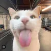 emilkaa12_